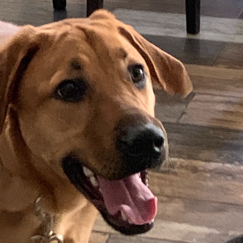 Meet your Posher, Raymond